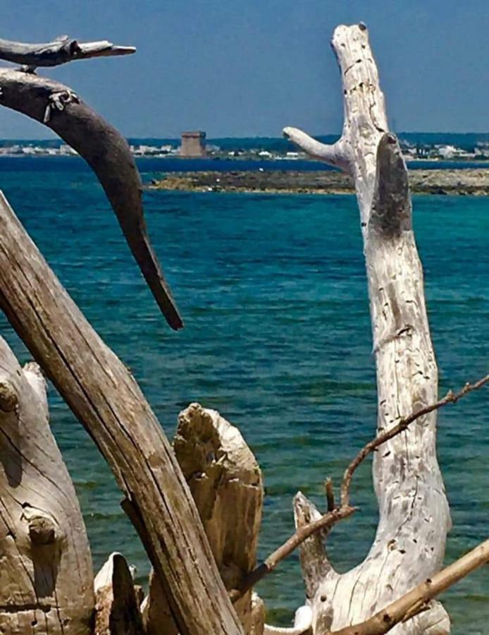 Acquazzurra Affittacamere Torre Lapillo Exteriör bild